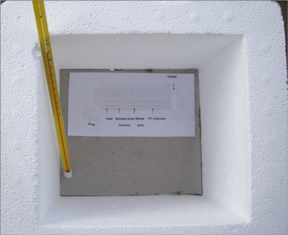 Styrofoam box containg the HT microfluidic device and a thermometer