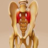 Journal of Sports and Exercise Medicine - sacroiliac joint dysfunction