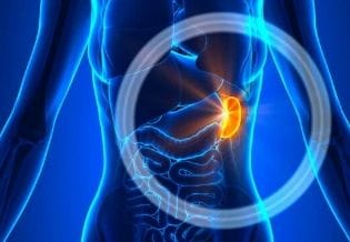 Journal of Spleen And Liver Research