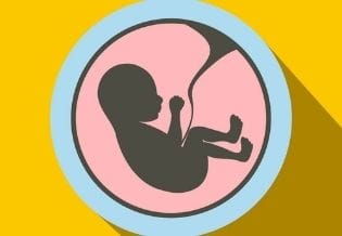 Journal of Fetal Surgery