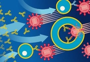 Journal of Immunization