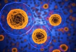 International Journal of Cell