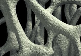 International Journal of Bone and Mineral Metabolism