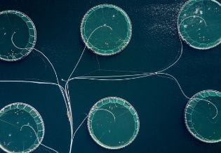 International Journal of Aquaculture Research and Development 