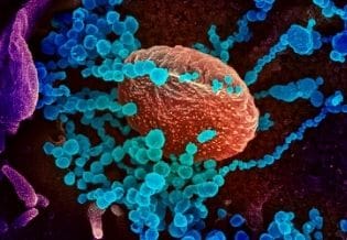 Journal of Current Viruses and Treatment Methodologies