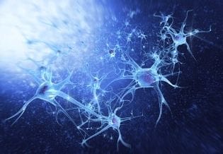 Journal of Nervous System and Physiological Phenomena