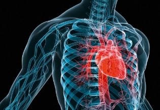 International Journal of Thorax