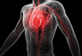 International Journal of Heart Research