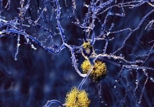 Journal of Enzymes